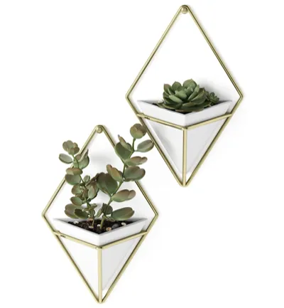 Trigg Geometrico Umbra