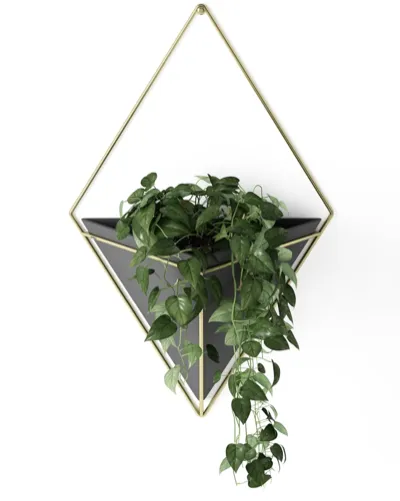 Vaso de parede Umbra