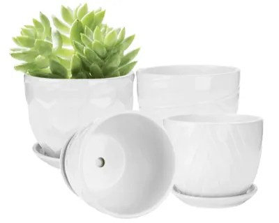 Vasos Ceramica Brajttt